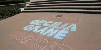 Sophomore Cecilia Grané wins ASOC presidential election after eventful race