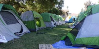 Four Occidental students arrested at UCLA pro-Palestinian encampment