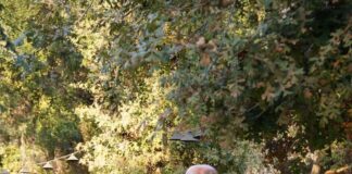 Associate Director of Jewish Student Life Ben Greenberg wins 2024 Advisor of the Year