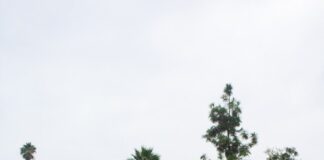 Highland Park builds community with cleanup event