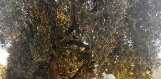 Join the thrill: Ski and Board Club gears up for an epic winter season