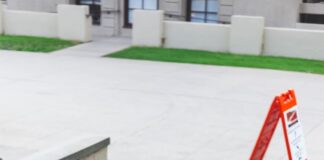 Artist of the Week: @animalsofoxy Instagram creates smiles among students through pet photos and campus cat sightings