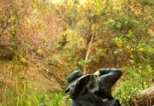 LA River restoration connects us back to ‘the life force of our city’