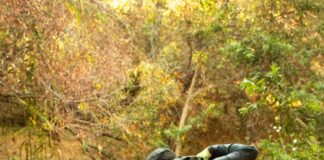 LA River restoration connects us back to ‘the life force of our city’