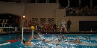 Occidental men’s water polo community turns team bonding into tournament success
