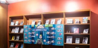 Students and faculty weigh in on Occidental Library Fat Bear Week