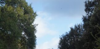 After performing at The Hotel Cafe, Artist of the Week August James enters ‘next chapter’ of his music career