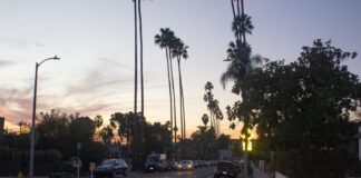 Occidental students reflect on autumn in the desert