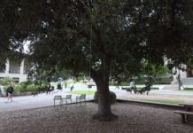 As college settles allegations of antisemitism, Occidental protests continue with allegations of a vandalized memorial and misdirection of a school event