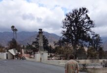 ‘Did we just lose everything we’ve invested all our lives into?’: Occidental community grapples with Eaton Fire