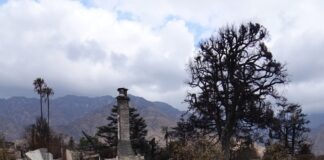 ‘Did we just lose everything we’ve invested all our lives into?’: Occidental community grapples with Eaton Fire