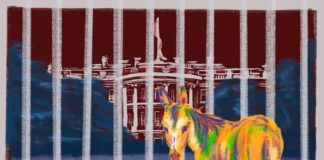 Opinion: Authoritarianism thrives on inaction — Democrats need urgent resistance