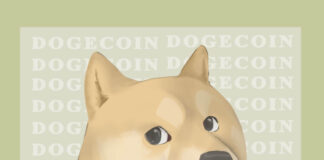Opinion: DOGE is wrecking the United States government. But what is the endgame?