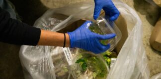 Revived OSCAR leads campuswide composting effort