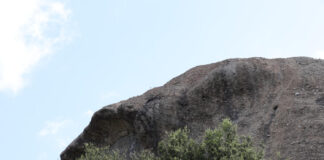 The Eagle Rock Historical Society preserves the rich history of the Eagle Rock community