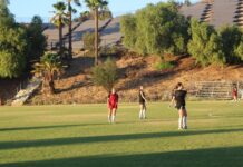 Athletes of the week Joe Bassett and Mia Steadman lead their teams to victory