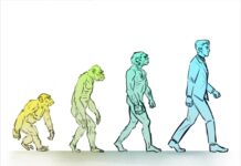 Opinion: Escape learned helplessness, find a “will to meaning”