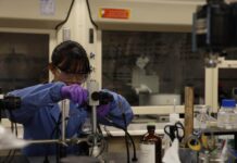 Professor Michael Hill and team present potential alternative to LASIK eye surgery