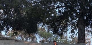 “What’s Going On” with Occidental’s Album Club