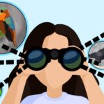 Bird_Watching_JC