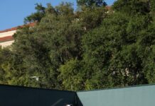 Women’s doubles team makes impressive underdog run at ITA Cup