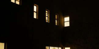 Eagle Rock Neighborhood Council partners with DarkSky LA and LA Astronomical Society, lighting the way to darker skies