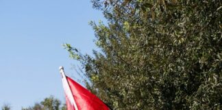 Oxy SJP protests Board of Trustees meeting after staging mock trial of college admin