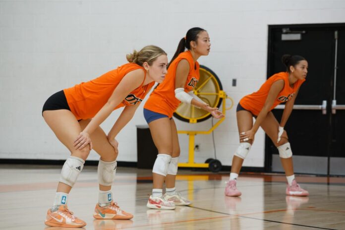 SciacVolley_Sports_Cordova15