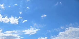 Occidental students get a taste of federal government work amidst shutdown