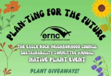 ‘You can do it in your backyard’: ERNC Sustainability Committee holds native plant giveaway