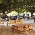 News_Filming_Nimberg#2