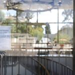 CampusICE_News_Wong5