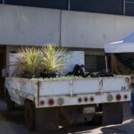 Groundskeeping_Sports_Bernard10