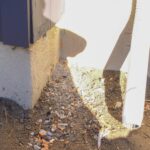 Norris_News_Valdez-3