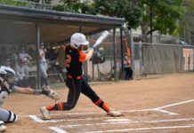 Baseball and softball teams load up for redemption seasons