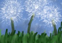 Opinion: Why we should all be foraging