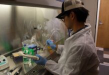 ‘A big point of pride’: Occidental’s research community